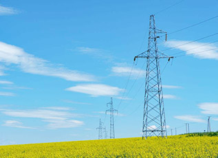 抖圈- 抖圈为赌而生