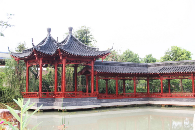 抖圈- 抖圈为赌而生